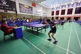 国际象棋年度最佳对局合集